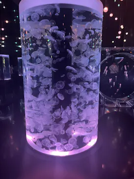 マクセル アクアパーク品川に投稿された画像（2023/8/8）