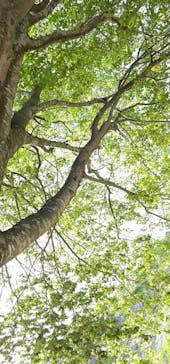 あぶくま洞に投稿された画像（2023/8/8）