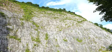 あぶくま洞に投稿された画像（2023/8/8）