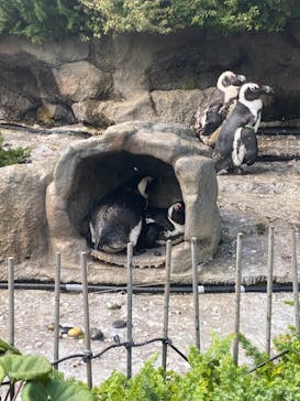 サンシャイン水族館に投稿された画像（2023/8/8）