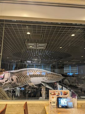 国立科学博物館に投稿された画像（2023/8/8）