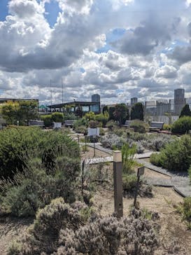 国立科学博物館に投稿された画像（2023/8/8）