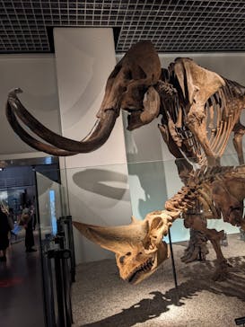 国立科学博物館に投稿された画像（2023/8/8）