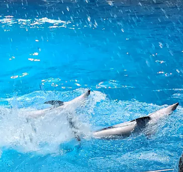 マクセル アクアパーク品川に投稿された画像（2023/8/8）