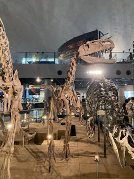 福井県立恐竜博物館に投稿された画像（2023/8/8）