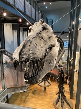 福井県立恐竜博物館に投稿された画像（2023/8/8）