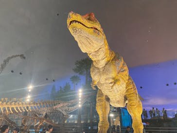 福井県立恐竜博物館に投稿された画像（2023/8/8）