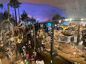 福井県立恐竜博物館に投稿された画像（2023/8/8）