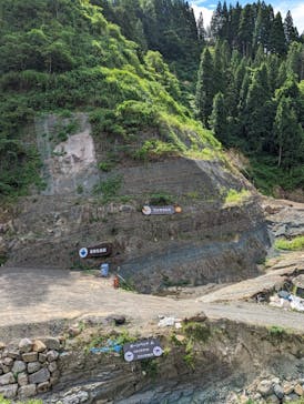 福井県立恐竜博物館に投稿された画像（2023/8/8）