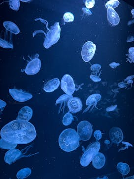 AOAO SAPPOROに投稿された画像（2023/8/8）