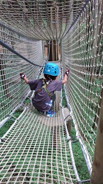 フォレストアドベンチャー・栗東に投稿された画像（2023/8/8）