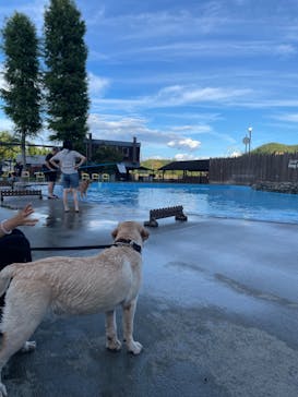 わんダフルネイチャーヴィレッジに投稿された画像（2023/8/8）