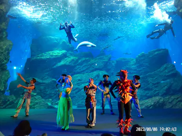 仙台うみの杜水族館に投稿された画像（2023/8/8）