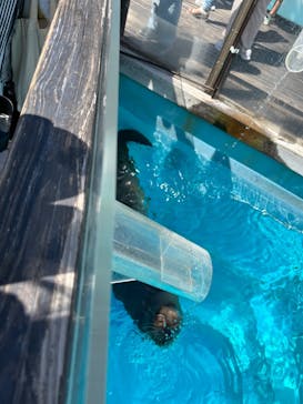 マリンワールド海の中道に投稿された画像（2023/8/8）