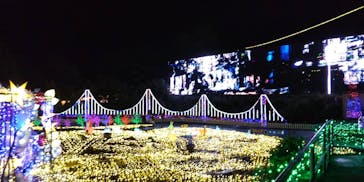 伊豆ぐらんぱる公園に投稿された画像（2023/8/8）