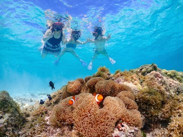 nico 宮古島に投稿された画像（2023/8/8）