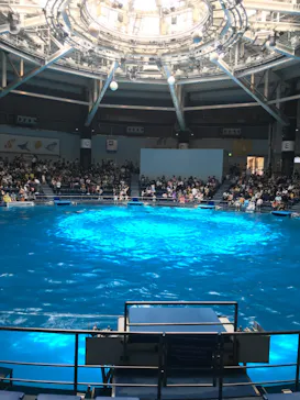 マクセル アクアパーク品川に投稿された画像（2023/8/8）