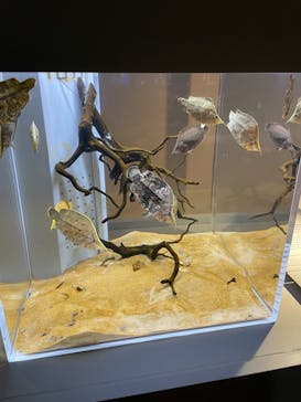 AOAO SAPPOROに投稿された画像（2023/8/8）