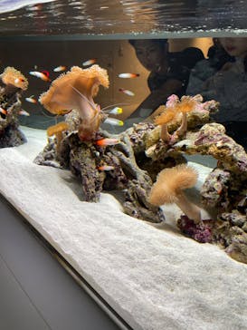 AOAO SAPPOROに投稿された画像（2023/8/8）