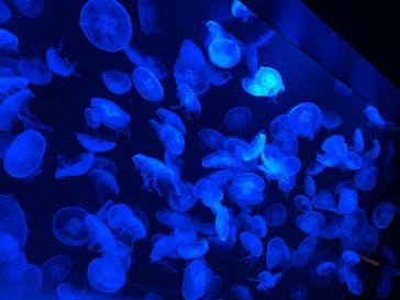 AOAO SAPPOROに投稿された画像（2023/8/8）