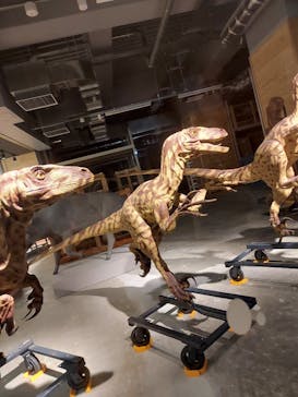 福井県立恐竜博物館に投稿された画像（2023/8/8）