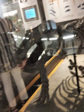 福井県立恐竜博物館に投稿された画像（2023/8/8）