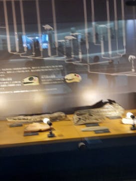 福井県立恐竜博物館に投稿された画像（2023/8/8）