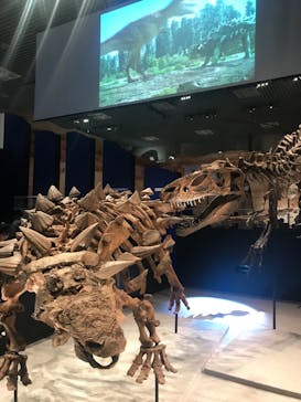 特別展「恐竜博2023」に投稿された画像（2023/8/8）