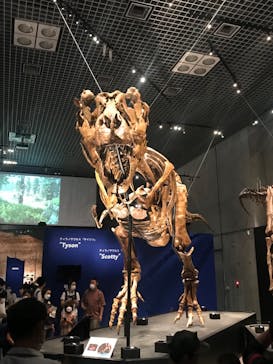 特別展「恐竜博2023」に投稿された画像（2023/8/8）