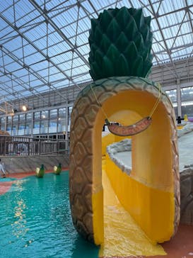 東京サマーランドに投稿された画像（2023/8/8）