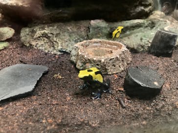 サンシャイン水族館に投稿された画像（2023/8/8）