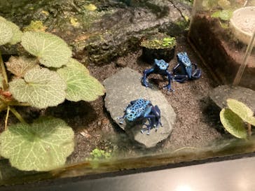 サンシャイン水族館に投稿された画像（2023/8/8）