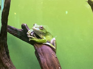 サンシャイン水族館に投稿された画像（2023/8/8）