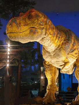 福井県立恐竜博物館に投稿された画像（2023/8/8）