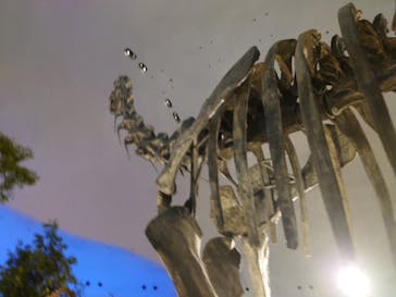 福井県立恐竜博物館に投稿された画像（2023/8/8）