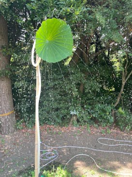 三溪園に投稿された画像（2023/8/8）