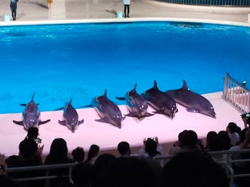 マリンワールド海の中道に投稿された画像（2023/8/8）