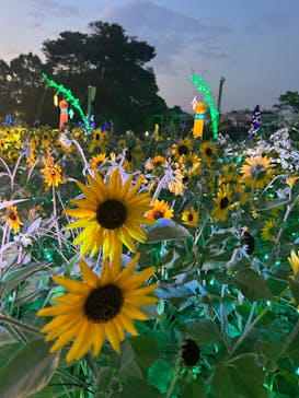 せんだい農業園芸センター　みどりの杜に投稿された画像（2023/8/8）