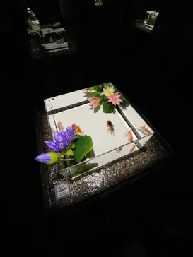 マクセル アクアパーク品川に投稿された画像（2023/8/8）