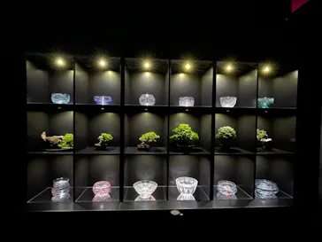 マクセル アクアパーク品川に投稿された画像（2023/8/8）