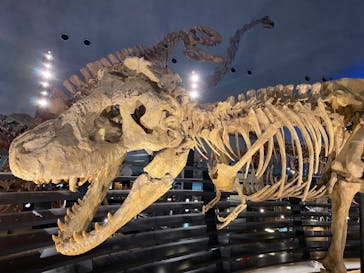 福井県立恐竜博物館に投稿された画像（2023/8/9）