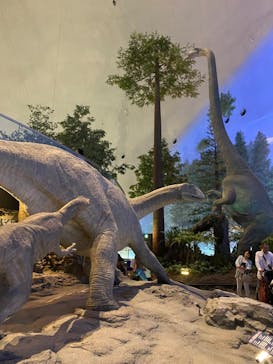 福井県立恐竜博物館に投稿された画像（2023/8/9）