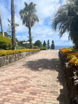 ニューヨークランプミュージアム＆フラワーガーデンに投稿された画像（2023/8/9）