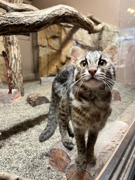 那須どうぶつ王国に投稿された画像（2023/8/9）