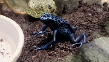 サンシャイン水族館に投稿された画像（2023/8/9）