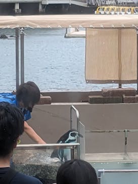 下田海中水族館に投稿された画像（2023/8/9）