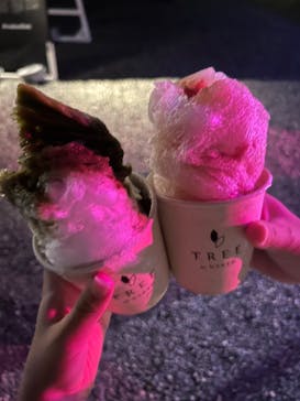 NAKED meets 二条城 2025 観月に投稿された画像（2023/8/9）