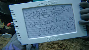 武藤潜水に投稿された画像（2023/8/9）