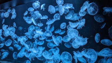 AOAO SAPPOROに投稿された画像（2023/8/9）