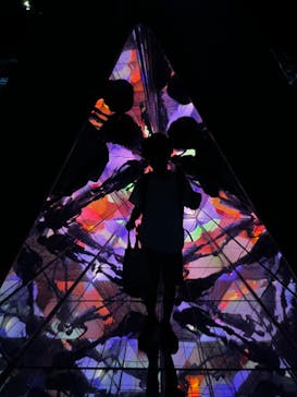 チームラボフォレスト 福岡 - SBI証券に投稿された画像（2023/8/9）